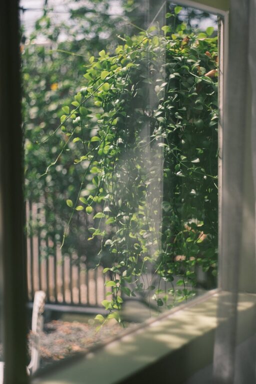 Tips for Creating a Relaxing Garden Space at Home