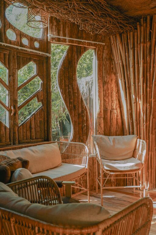 Tips for Creating a Sustainable and Eco-Friendly Home Environment